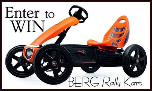 Berg Rally Orange BE24.40.00.00