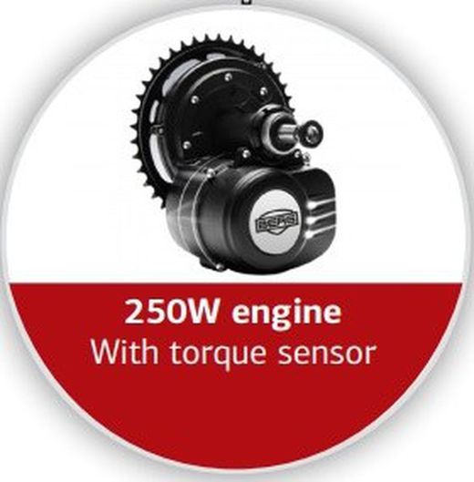 BERG Fendt E-BF Electric XXL