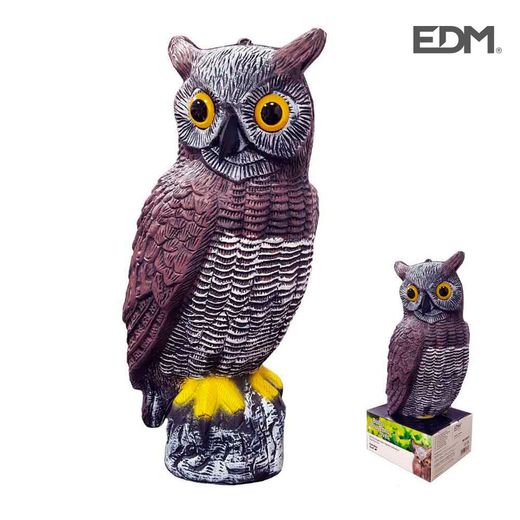 Le hibou chasse les oiseaux