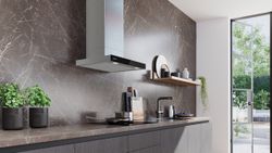 Campana decorativa SIEMENS LC67BDN30 IQ500 60 cm Inox Mate - ¡¡OFERTA SOLO RECOGIDA EN TIENDA DE IRUN!!